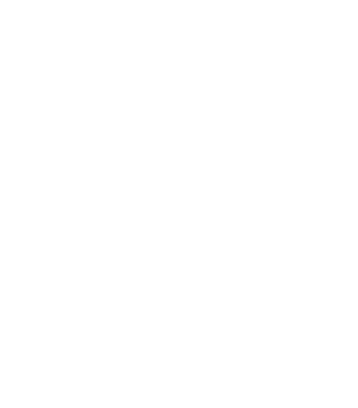 Rizenyte Web